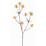 Deko Zweig Edeldistel LOUKAS, gelb-orange, 45cm, Ø1-1,5cm