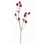 Deko Zweig Edeldistel LOUKAS, burgunderrot, 45cm, Ø1-1,5cm