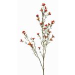 Künstliche Wachsblume NIANG, orange-rot, 80cm, Ø1,5-2,5cm