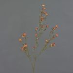 Künstliche Wachsblume NIANG, orange-rot, 80cm, Ø1,5-2,5cm