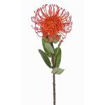 Künstliche Nadelkissen Protea BAILY, orange, 55cm, Ø10cm