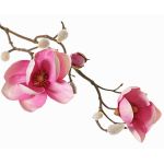 Textil Magnolie KOSTAS, rosa-pink, 55cm, Ø6-8cm