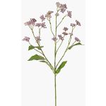 Deko Zweig Wasserdost KORALIA, violett, 80cm, Ø4-7cm