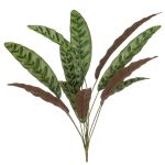 Fake Pflanze Calathea Makoyana WIDO auf Steckstab, grün-burgunderrot, 70cm
