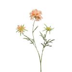 Deko Zweig Scabiosa MARUA, pfirsich, 80cm