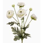Ranunkel künstlich HIBBA, creme, 65cm, Ø5-7cm