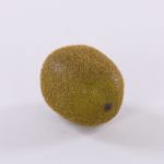 Deko Kiwi SURATA, braun, 6cm, Ø4,5cm