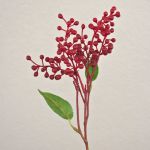 Künstlicher Zweig Holunderbeere TEITH mit Früchten, rot, 40cm