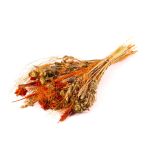 Getrockneter Ährenstrauß COVENTINA, orange-natur, 65cm, Ø23cm