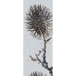 Künstlicher Rambutanfrucht Zweig WARDA, braun-weiß, 60cm