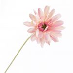 Künstliche Gerbera VIRGINIA, rosa, 55cm, Ø11cm