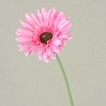 Künstliche Blume Gerbera TEUDELINDE, rosa, 55cm, Ø8cm