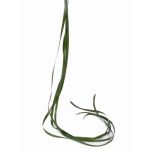 Kunstgras Segge JURO, 6 Halme, grün, 120cm, Ø1cm