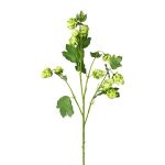 Kunstzweig Hopfen DRIHOL mit Blüten, grün, 75cm