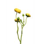 Kunstblumen Zweig Ranunkel JIXIANG, gelb, 50cm