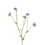 Dekozweig Flockenblume TAOTAO, blau, 65cm