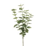 Künstlicher Zweig Eukalyptus MINJIA, grün-grau, 65cm