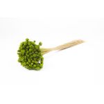 Trockenstrauß AVISSA, Brasilianische Hügelblume, apfelgrün, 45-60cm, Ø13cm