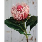 Kunst Nadelkissen Protea TANJA, rosa-pink, 65cm, Ø10cm