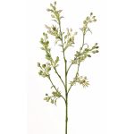 Künstlicher Myrte Zweig PALKA mit Beeren, grün-weiß, 65cm