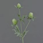 Künstliche Edeldistel SVEA, grün, 40cm, Ø2-3cm