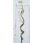 Kunststoff Korkenzieherweide Zweig TONY, grün-braun, 75cm