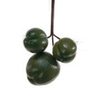Deko Obst Kokosnüsse TIHANA, 3 Stück, grün, 30cm, Ø25cm