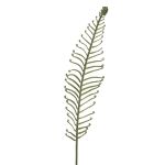 Kunst Blatt Königsfarn DRAGU, grün, 95cm