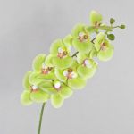 Phalaenopsis Orchideenzweig künstlich  OPHELIA, grün-pink, 100cm, Ø9-12cm