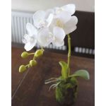 Kunst Phalaenopsis Orchidee VEENA im Erdball, weiß, 40cm