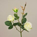 Kunstrosen Zweig DELILAH, creme-weiß, 55cm, Ø6cm
