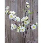 Kunst Kirschblütenzweig SOEY mit Blüten, creme-weiß, 45cm