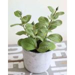 Deko Minze künstlich ALBUS im Betontopf, grün, 17cm