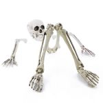 Halloween Dekoration Skelett Teile ADALBERT mit 5 Erdspieße, 19cm, 45cm, 66cm