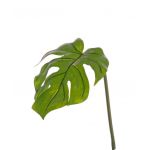 Kunst Philodendron Monstera Deliciosa Blatt LANDER, 55cm