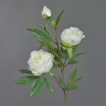 Pfingstrosen Zweig künstlich MANJA, weiß, 70cm, Ø8-10cm