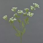 Künstlicher Dillzweig WINCENT mit Blüten, weiß, 80cm, Ø5-7cm