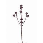 Kunst Eukalyptus Zweig BASILIUS mit Früchten, braun, 60cm
