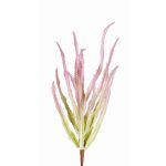 Euphorbia sipolisii künstlich REESE auf Steckstab, rosa-grün, 30cm, Ø20cm