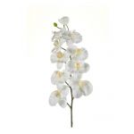 Plastik Phalaenopsis Orchideen Zweig ANAT, creme, 100cm