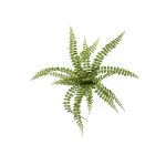 Kunstpflanze Knopffarn BELONA auf Steckstab, grün, 50cm