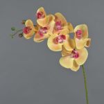 Künstlicher Phalaenopsis Orchideenzweig NEITH, orange-pink, 75cm, Ø7-10,5cm