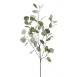 Künstlicher Eukalyptus Zweig COLTON, grün-grau, 85cm