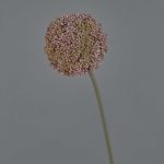 Allium künstlich BOUTROS, lila-grün, 75cm, Ø9cm