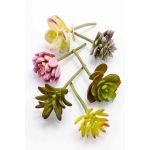 Künstliche Sukkulenten Set JADON, Steckstab, 6 Stück, bunt, 13cm, Ø5cm