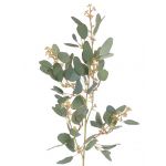 Kunst Eukalyptus Zweig COBAR mit Blüten, crossdoor, grün, 65cm