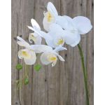 Kunstzweig Phalaenopsis Orchidee OPHELIA, weiß, 80cm