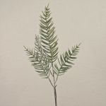 Zypressen Zweig künstlich ZOLTAN, gefroren, grün, 75cm