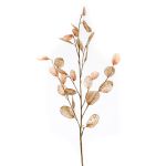 Kunstzweig Lunaria BUELNA, hellbraun, 105cm