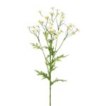 Deko Zweig Kamille GRUHEL, weiß, 60cm